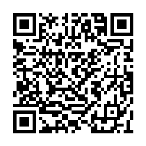 毁清楚感受到了来自这小家伙那灵魂当中的颤抖二维码生成