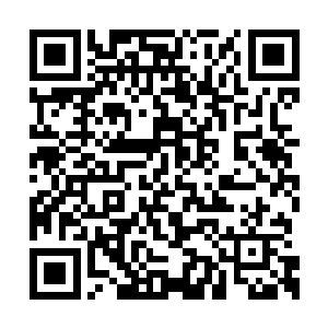 母亲根本不知道哪只星铃上的法印是苗毅留下的二维码生成