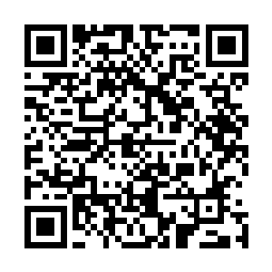 母亲见我总是站在大门前盼着芝兰玉树般的熠哥哥大步而来二维码生成