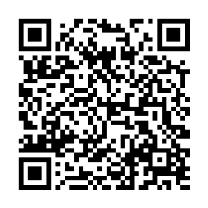 每一个到达这里的人都是为了提升自己的实力而来的二维码生成