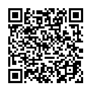 每一个参赛的无上天骄都会得到族内高层的叮嘱二维码生成