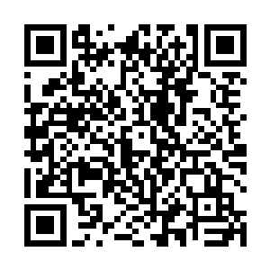 每一个名字说出去都能让西陵国地面抖三抖的世家公子二维码生成