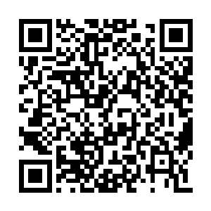 每一个四级以上的佣兵都是可以独挡一面的高手二维码生成