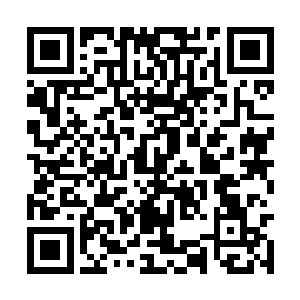 每一个夜行人都异常团结――至少原住民都是如此二维码生成