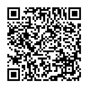 每一个小动物……而不是成为一个只会读死书和考试的书呆子……二维码生成