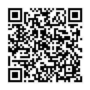 每一个库兵职位都被上百个关系户眼巴巴的盯着二维码生成
