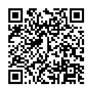 每一个目力所及的瞬间同伴在低声议论和嘲笑的东西二维码生成