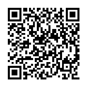 每一个等离子体细胞中都携带着同样的电磁特征二维码生成