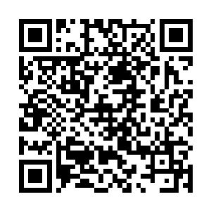 每一个都是花费了最起码数千年光阴才能有今日的修为二维码生成