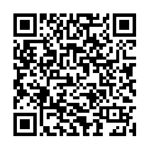 每一个阶梯上的主建筑都是一栋九开间的二层小楼二维码生成