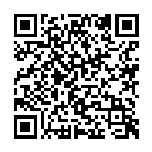 每一代魔族首领继承时都会被要求学会这套阵法二维码生成