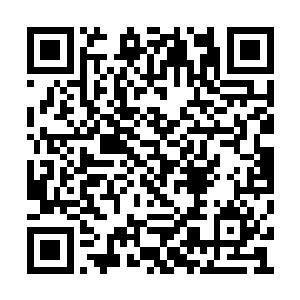 每一任家主都是家族中实力最强的高手来担任的二维码生成