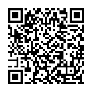 每一份证据都是仲裁院派出大量人马去查证过的二维码生成