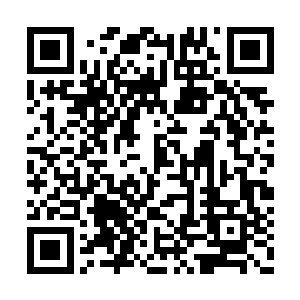 每一剑都蕴含不灭剑意和规则之力以及神荒剑元二维码生成