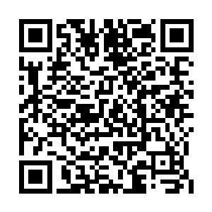 每一年的今天拉斯维加斯都会举行一场盛世赌局二维码生成