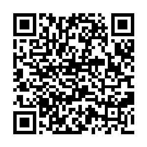 每一年西瑟夕里都会花很多精力修葺这座华丽的宫殿二维码生成