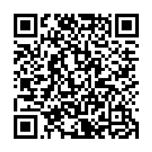 每一次不管是林烽晋升还是战斗还是吸收龙之血脉二维码生成