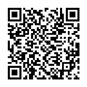 每一次当她满怀欣喜地伸手想去拥抱那从天上落下二维码生成