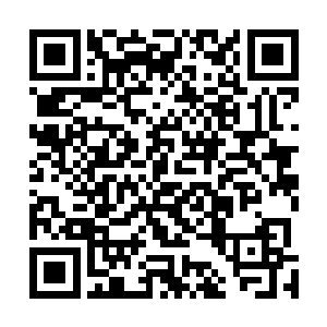 每一级的术士不仅可以完全拥有和同级别巫师相同的实力二维码生成