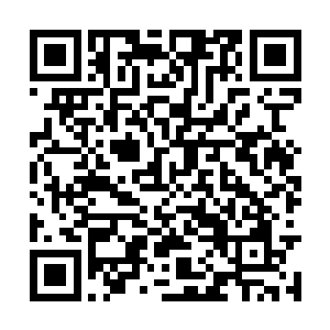 每个人不管做了什么事都必须为自己所做付出代价二维码生成