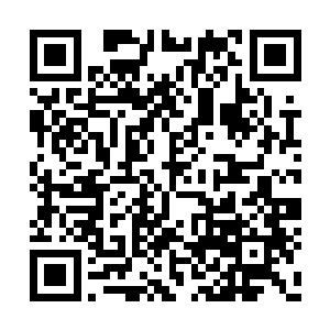 每个人围观的猩红小队恒源心里的想法都不一样二维码生成