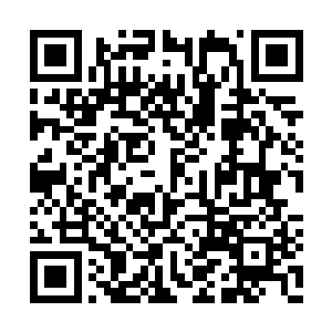 每个人手下统率的兵力都比自己这个快入土的多二维码生成
