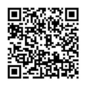 每个人的胸口都分别出现了一个碗口大小的血洞二维码生成