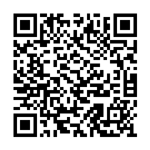 每个修真门派都会将门户建立在灵气浓郁的地方二维码生成