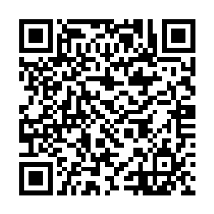 每个国家对于自身的农业问题绝对不会有任何的放松二维码生成
