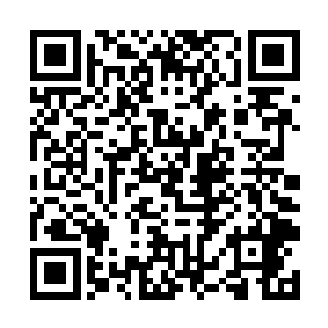 每个圣阶都能感觉到自己头顶上的那块透明的天花板二维码生成