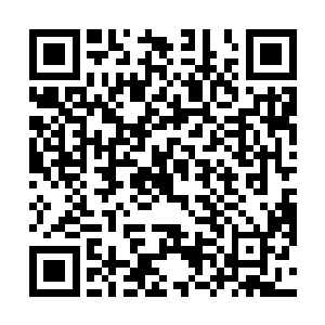 每个大势力中都有一位实力达到天神境界的老祖宗坐镇二维码生成