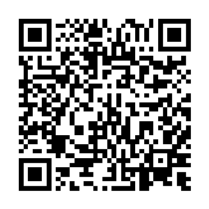 每个工作人员手里皆是拿着一个类似吉他箱的长方形盒子二维码生成