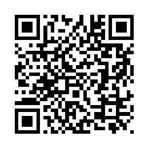 每天光住宿的费用就得在百万以上二维码生成