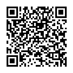每天只会弹弹琴看看书骂骂她的义父突然变了个人二维码生成