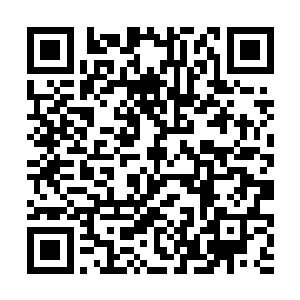 每天只会钻在山洞里把自己弄得灰头土脸的一个家伙二维码生成