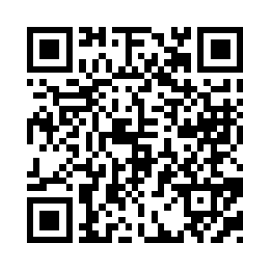 每天早上定要吃上两三个肉包子才罢休二维码生成