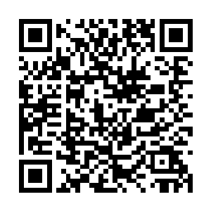 每天炼化仙元丹的速度也仅仅是增加了十几颗而已二维码生成