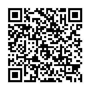 每天看着凌菲笑眯眯的样子很难想象身体竟然那么糟糕二维码生成