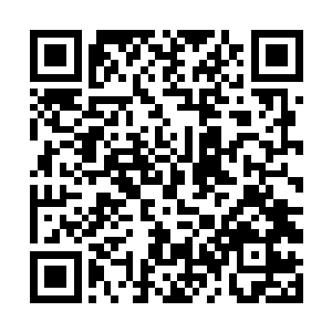每天看着楼下市府大道上川流不息的车流和人来人往二维码生成