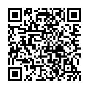 每天看见她就会觉得这个世界其实也没有那样难二维码生成