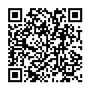 每天都在挖空心思的打造出各种各样的名牌产品二维码生成