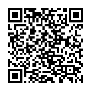 每天都要回涿州都管衙署看看王贵负责照应的小哑巴二维码生成