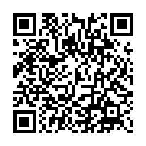 每天除了晚上十二点整的时候给他送些食物之外二维码生成