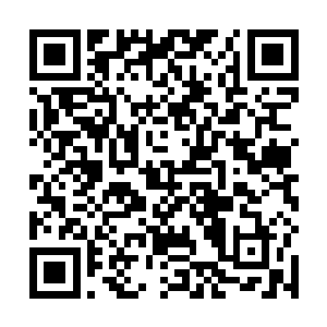 每年三亚的新丝路模特大赛都成为了一道靓丽的风景线二维码生成