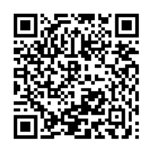 每年像你这样趁着暑假背包到处旅游的年轻人很多二维码生成