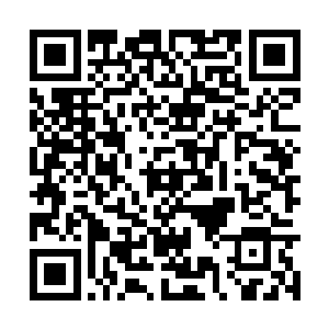 每年她也是会去神医的师祖那儿跟大哥一块再受训二维码生成