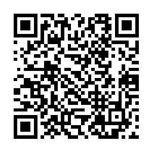 每年我们师兄弟四人都会派人进入万宝天中寻觅宝物二维码生成