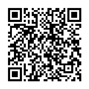 每年这个时候我都会去相国寺和主持玄苦大师谈论一阵子佛法二维码生成