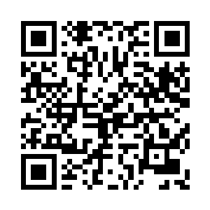 每日里萧言要过目不知道多少文报表章二维码生成