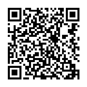 每次上解剖课我的脚都在发抖……他们现在都上中学了二维码生成